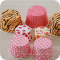 Cupcake Wrappers cake Baking Cup fabricante